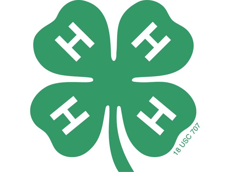 Logo for 2025 St. Joseph County 4-H Fair