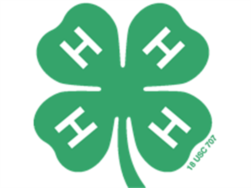 Logo for 2025 Valley County Fair